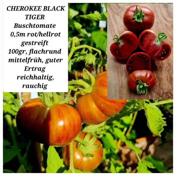 Tomaten: CHEROKEE BLACK TIGER