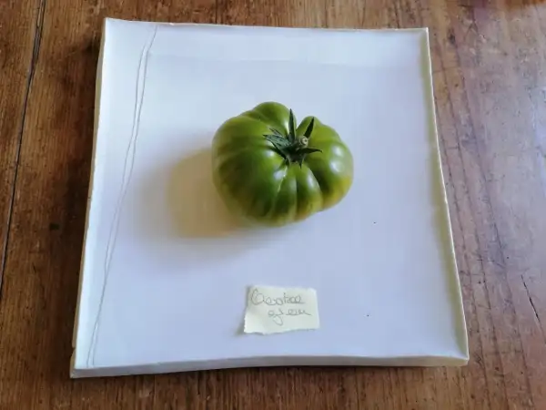 Tomaten: Cherokee Green