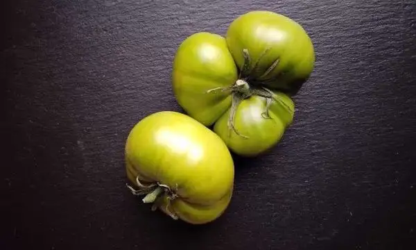 Tomaten: Cherokee Green