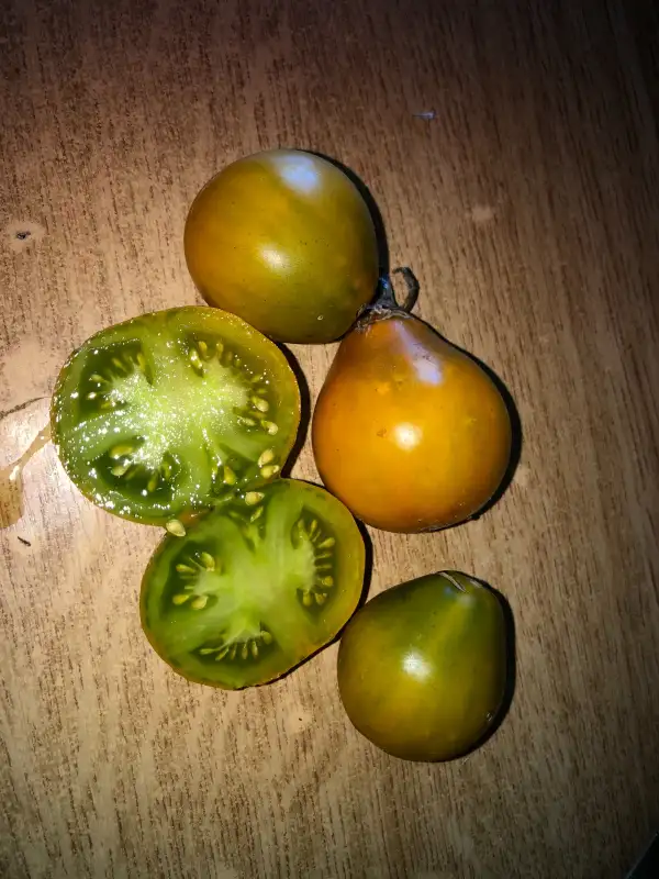 Tomaten: Cherokee Green Pear