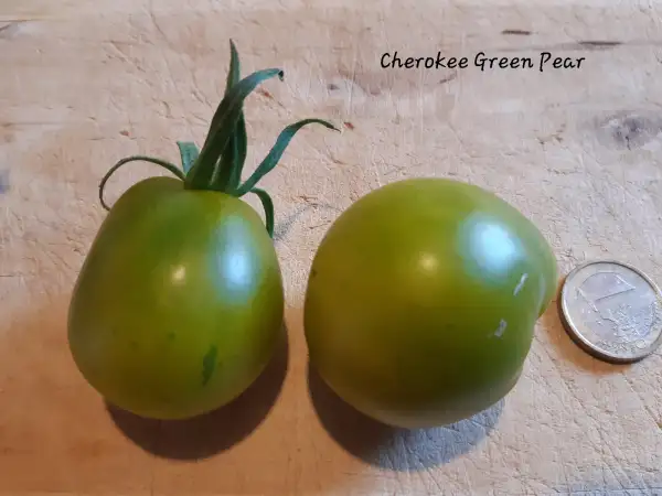 Tomaten: Cherokee Green Pear