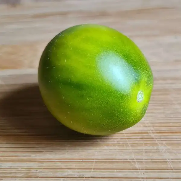 Tomaten: Cherokee Green Pear