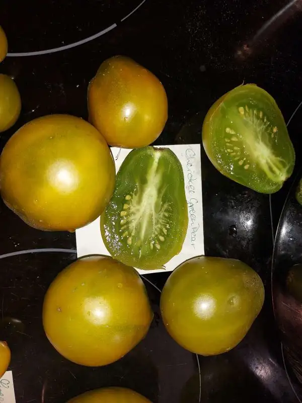 Tomaten: Cherokee Green Pear