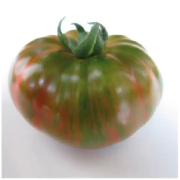 Tomaten: Cherokee Lime