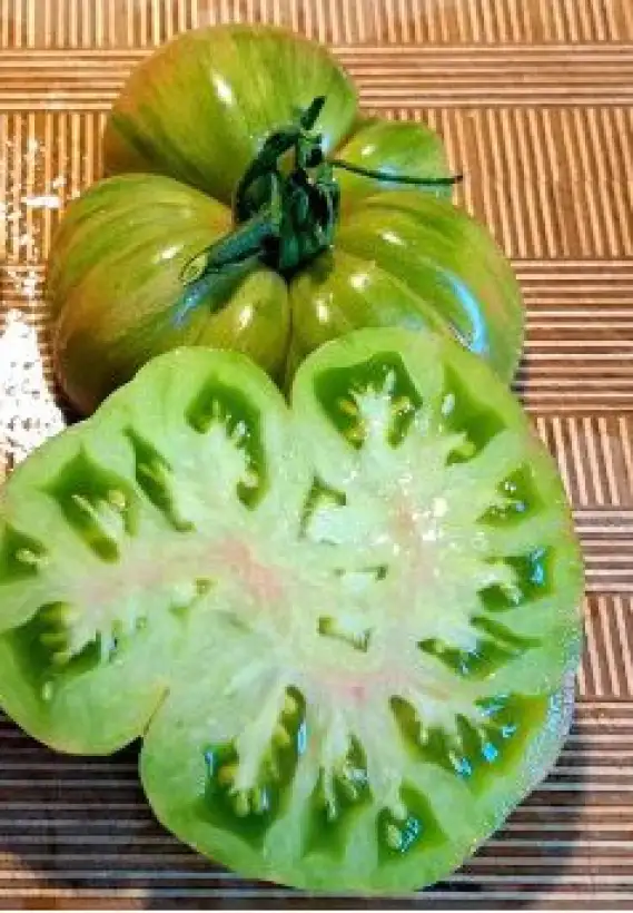 Tomaten: Cherokee Lime Stripes