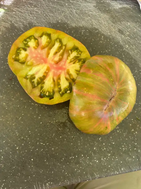 Tomaten: Cherokee Lime Stripes