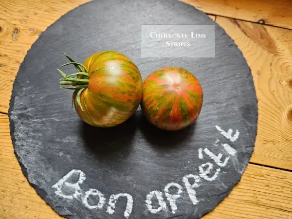 Tomaten: Cherokee Lime Stripes