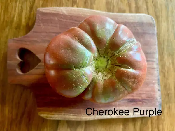 Tomaten: Cherokee Purple