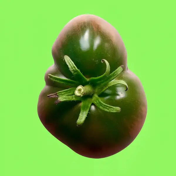 Tomaten: Cherokee Purple