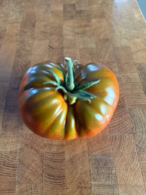 Tomaten: Cherokee Purple