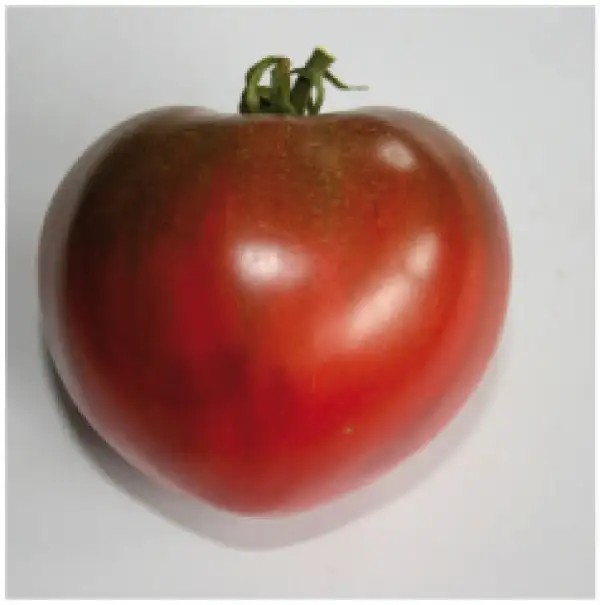 Tomaten: Cherokee Purple