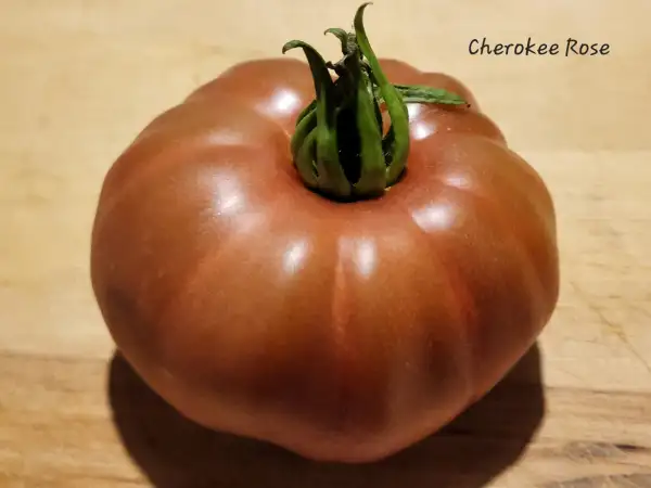 Tomaten: Cherokee rose