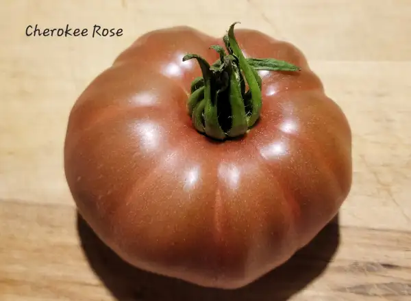 Tomaten: Cherokee rose