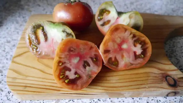 Tomaten: Cherokee rose