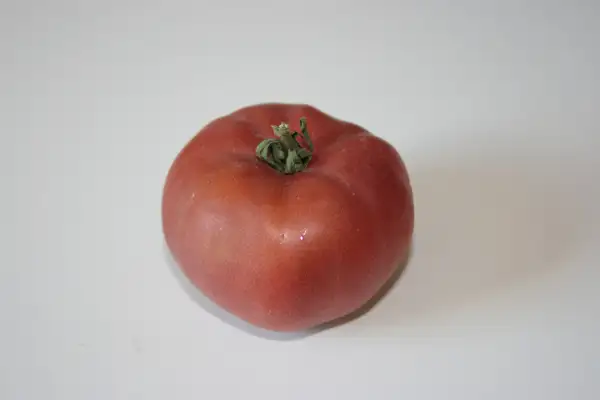 Tomaten: Cherokee rose