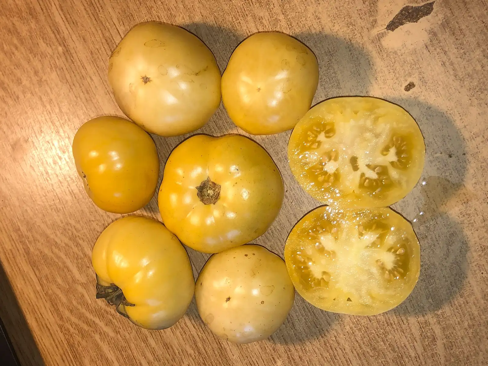Tomaten: Cherokee White