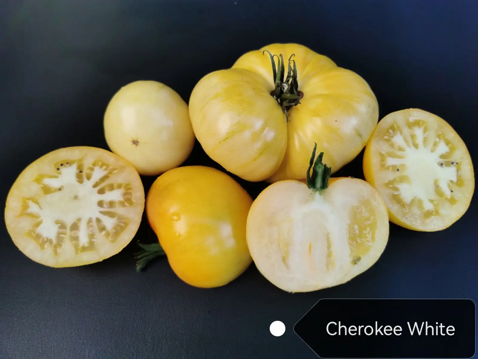 Tomaten: Cherokee White