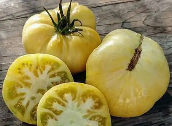 Tomaten: Cherokee White