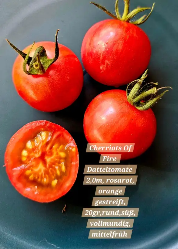 Tomaten: Cherriots of Fire