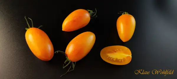 Tomaten: Cherry Artisan Blush Tiger