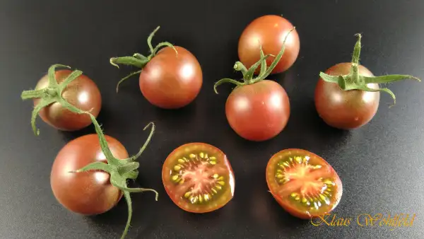 Tomaten: Cherry Black