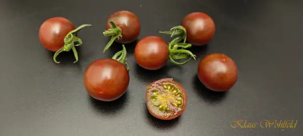 Tomaten: Cherry Black Opal