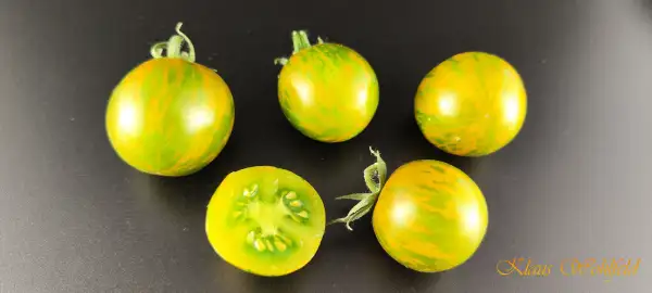 Tomaten: Cherry Bumblebee Green