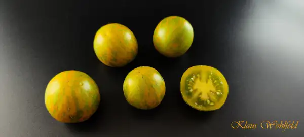 Tomaten: Cherry Green Zebra