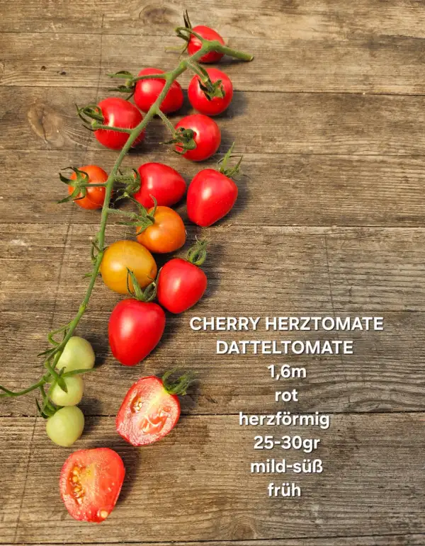 Tomaten: Cherry Herztomate
