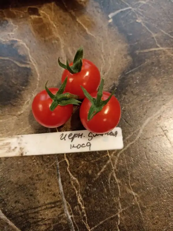 Tomaten: Cherry Krasa dlinnaja kosa