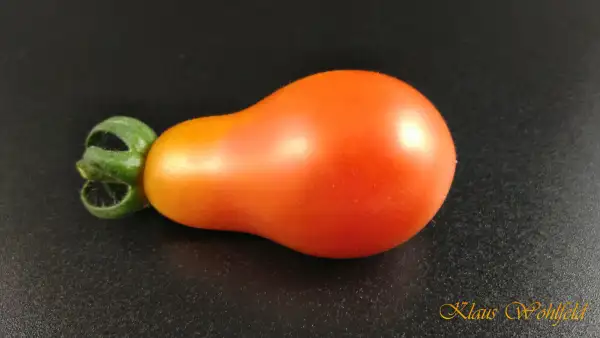 Tomaten: Cherry Rotes Birnchen