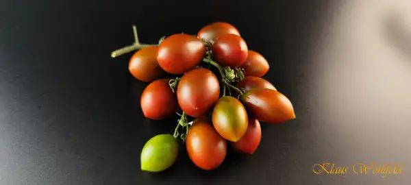 Tomaten: Cherry Venusbrüstchen black