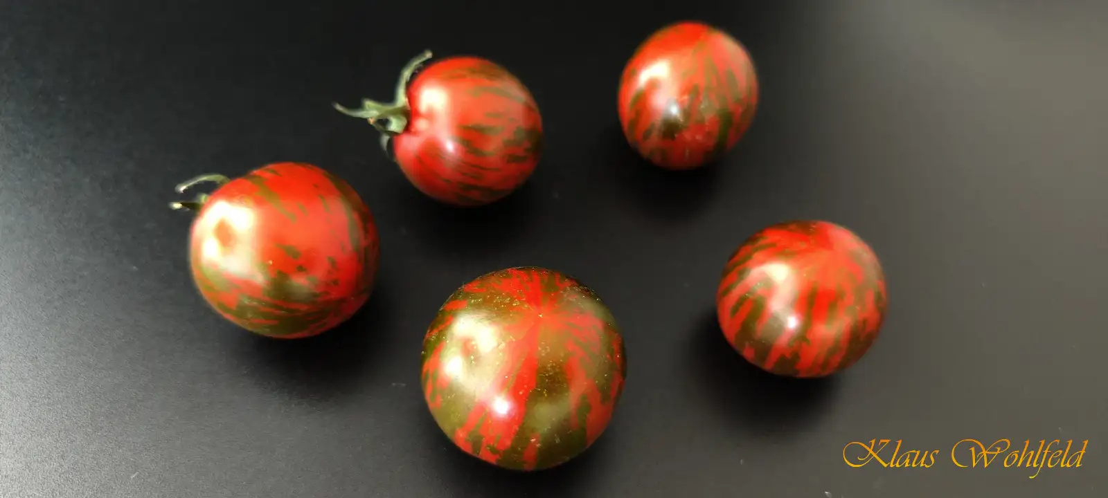 Tomaten: Cherry Zebrino