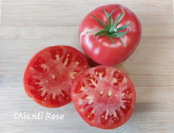 Tomaten: Chianti Rose