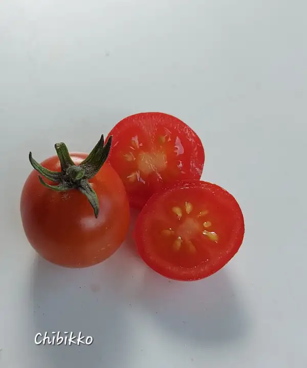 Tomaten: Chibikko