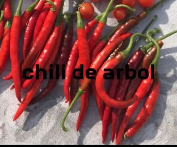 Chili / Paprika: Chile de Arbol