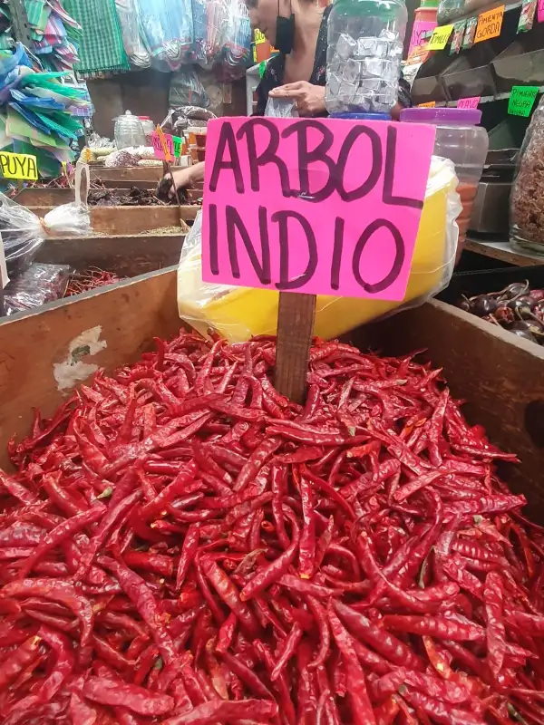 Chili / Paprika: Chili aus Mexiko: 4 Sorten direkt vom mexikanischen Markt (wachsen alle wunderbar bei uns)