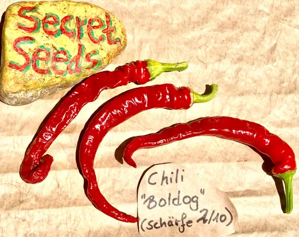 Chili / Paprika: Chili “Boldog” (Schärfe 2/10)