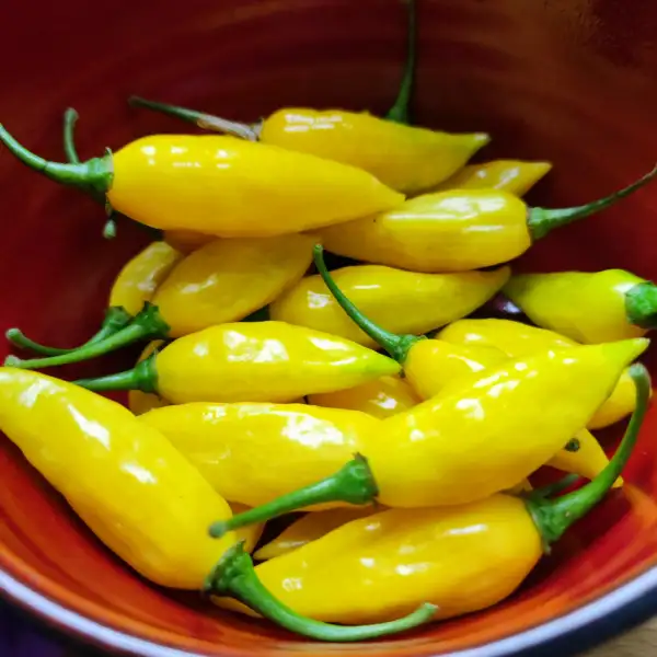 Chili / Paprika: Chili Lemon Drop