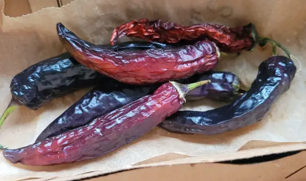 Chili / Paprika: Chili Tasmanian Black"
