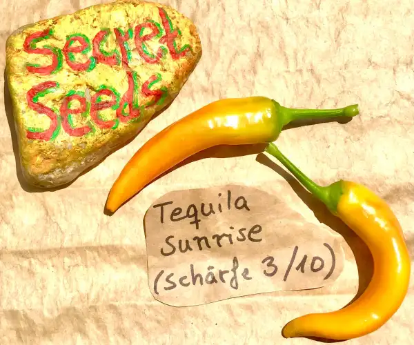 Chili / Paprika: Chili “Tequila Sunrise” (Schärfe 3/10)