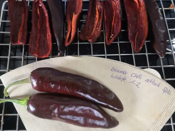 Chili / Paprika: Chilli, braun schlank spitz