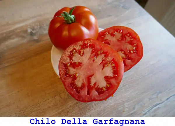 Tomaten: Chilo della Garfagnana