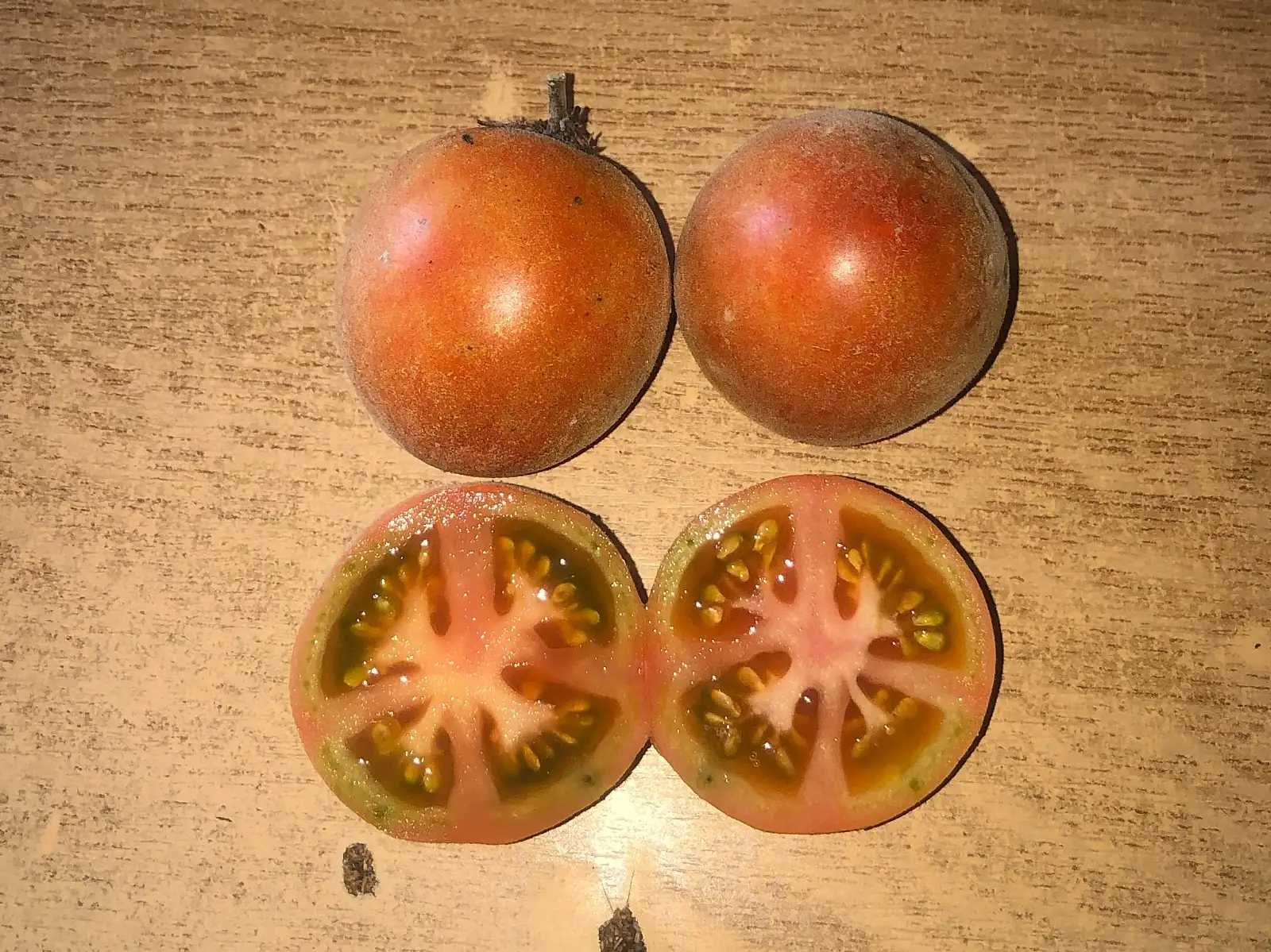 Tomaten: Chinese Velvet