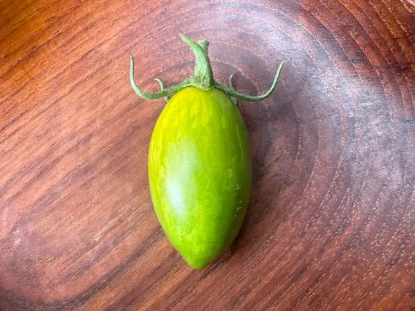 Tomaten: Chinesischer Smaragd