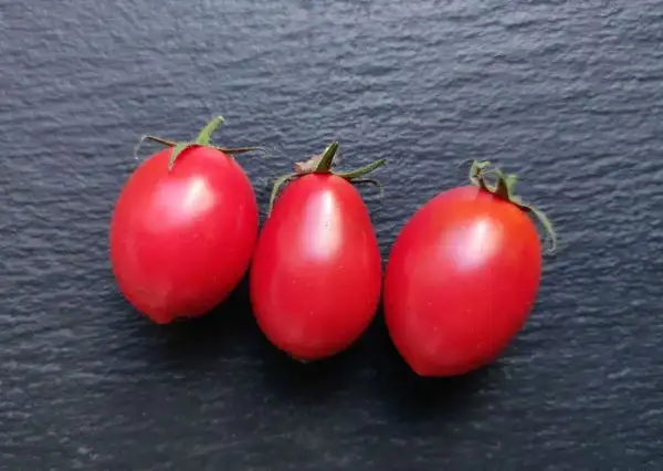 Tomaten: Chio Chio San