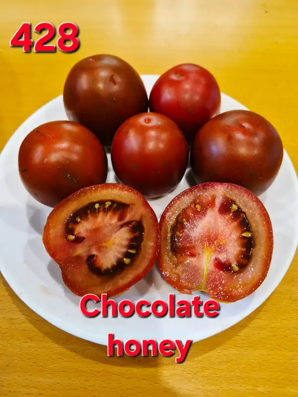 Tomaten: Chocolate honey