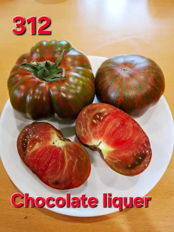 Tomaten: Chocolate liquer