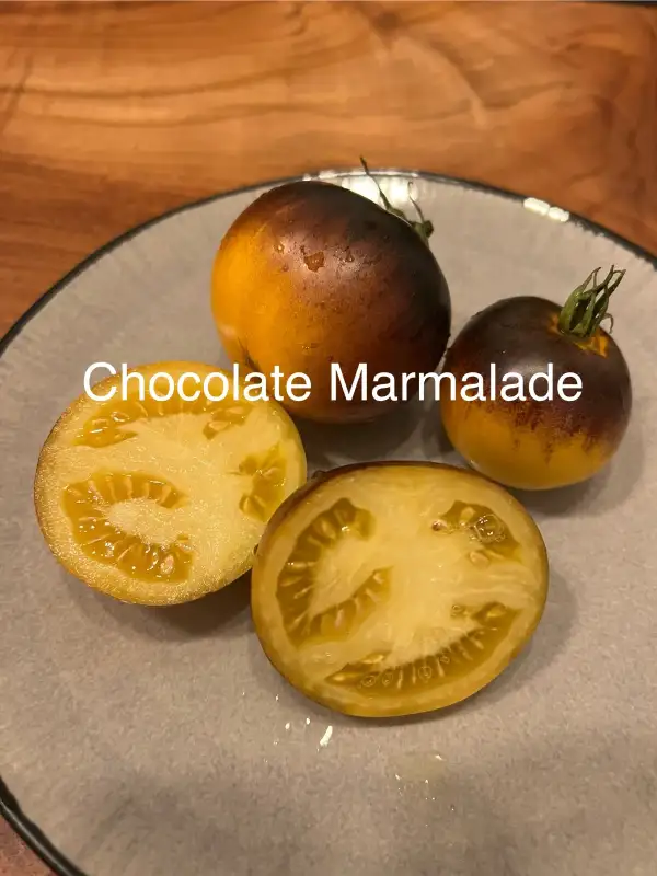 Tomaten: CHOCOLATE MARMALADE