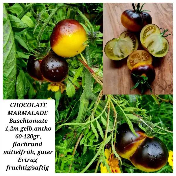 Tomaten: CHOCOLATE MARMALADE